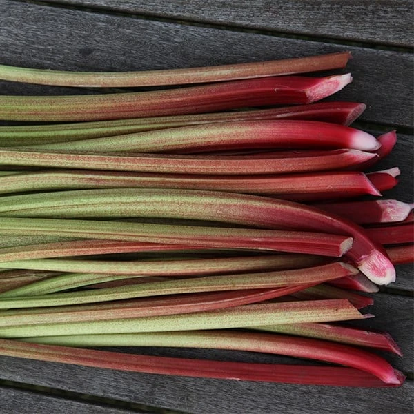Rhubarb 'Timperley Early' - Image 3