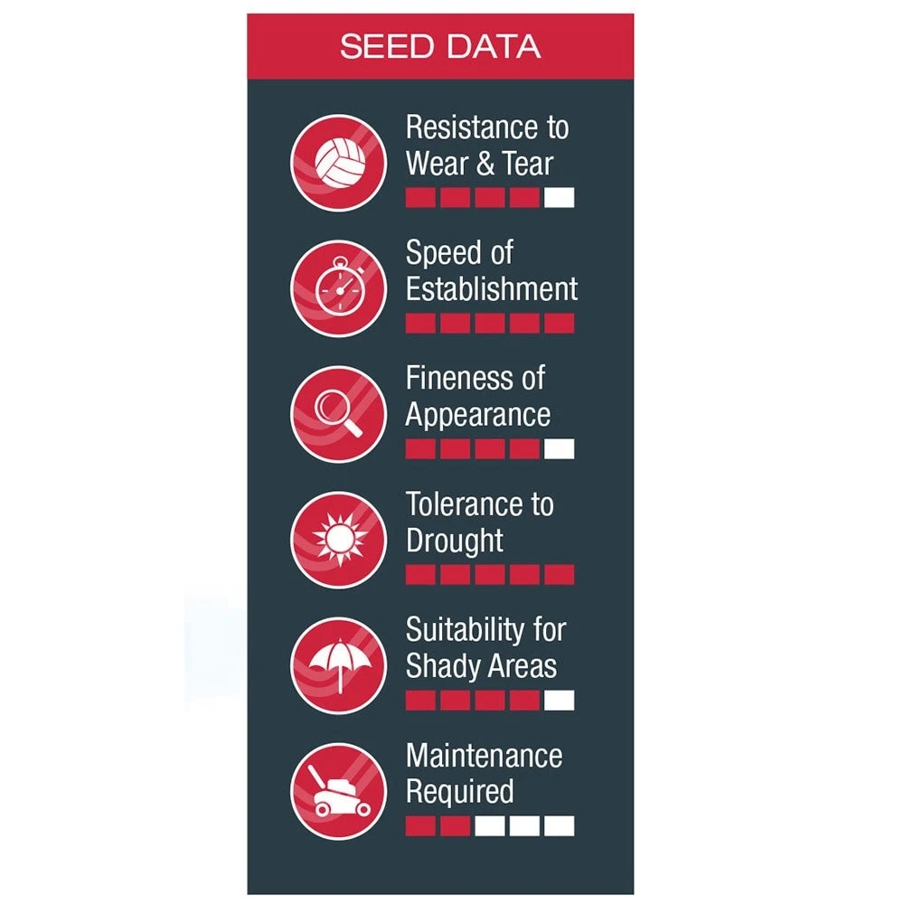 Johnsons Quick Lawn Seed - Image 2