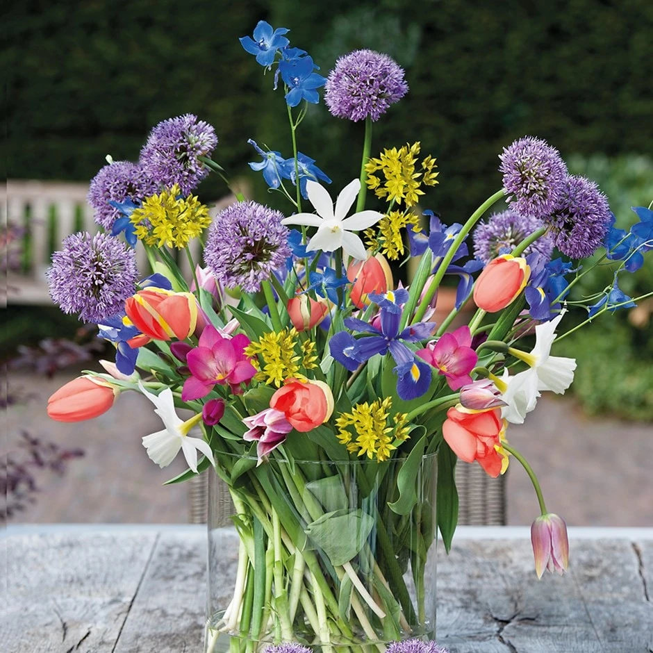 Cutflowers - Spring Flowering 'bulb Collection'