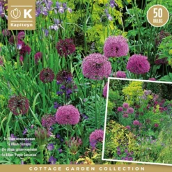 Allium Cottage Garden 'bulb Collection'